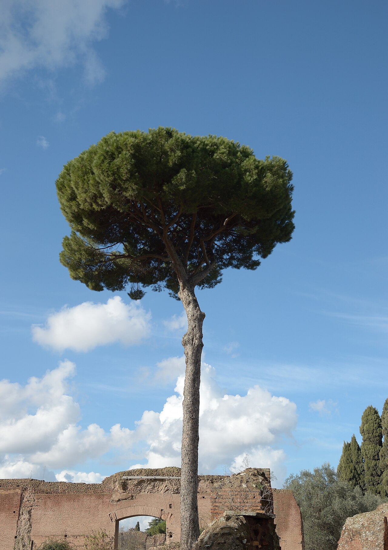 Palatine Hill